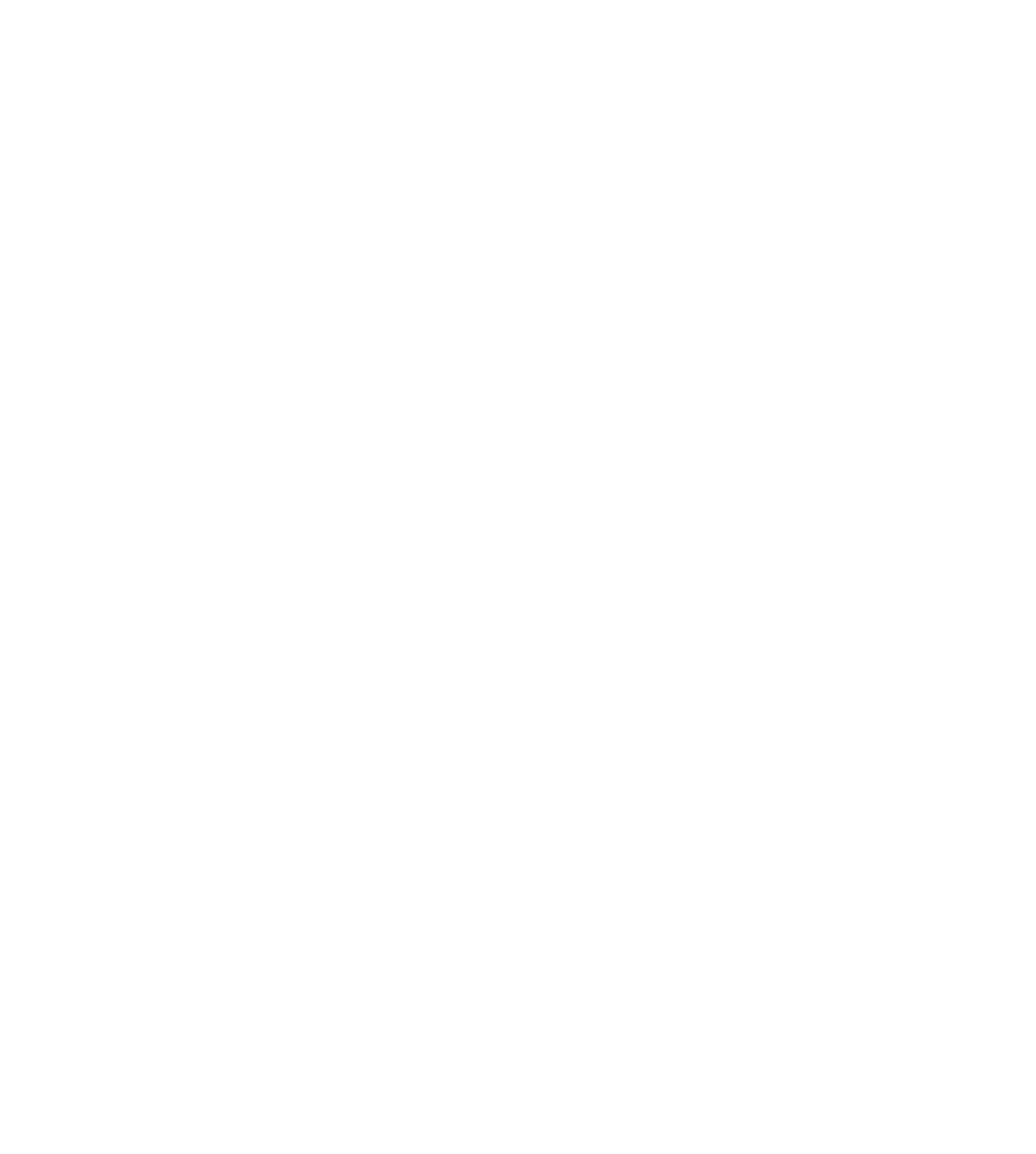 Armament Icon